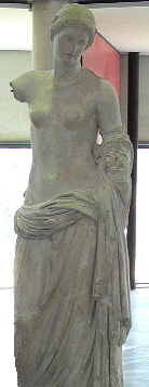 Venus-Musée